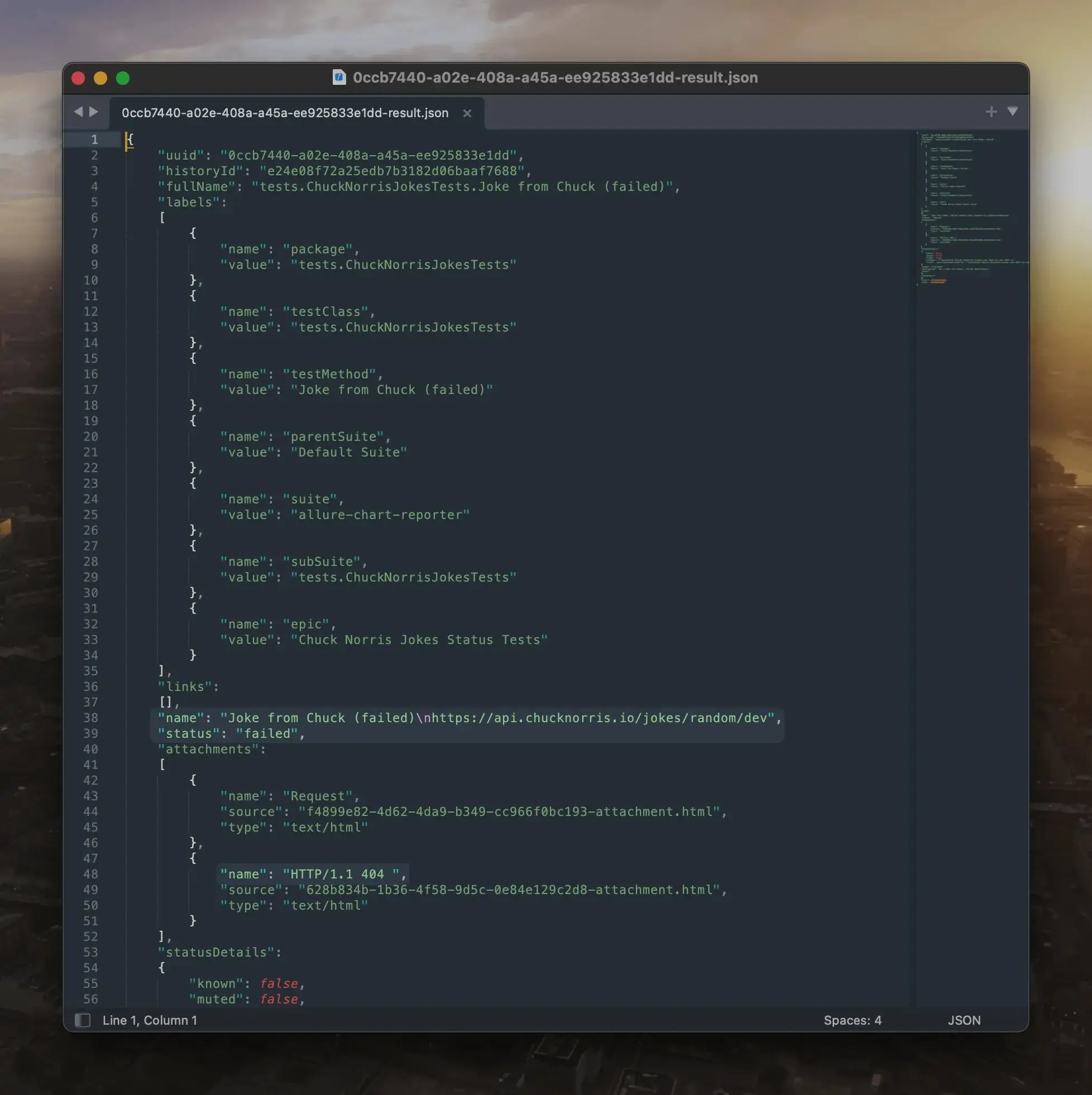 Приклад JSON файлу з результатами тесту